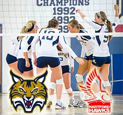 Bobcats Host the Hawks of Hartford Wednesday Night from Burt Kahn Court with Live Video Stream Available Image