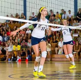 QU Women's Volleyball Falls to Rider, 3-0 Image