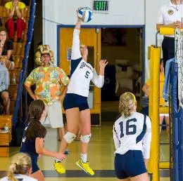 QU Women's Volleyball Falls to Niagara, 3-0 Image