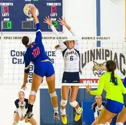 QU Women's Volleyball Defeated by Fairfield at Home, 3-1 Image