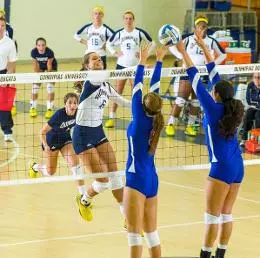 QU Women's Volleyball Falls To Canisius, 3-0 Image