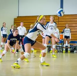 QU Women's Volleyball Drops Final MAAC Road Game to Iona, 3-0 Image