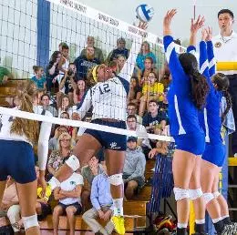 QU Women's Volleyball Falls to Fairfield 3-0 Image