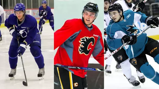 qu alums at nhl camp