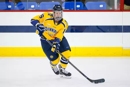 Men's ice hockey