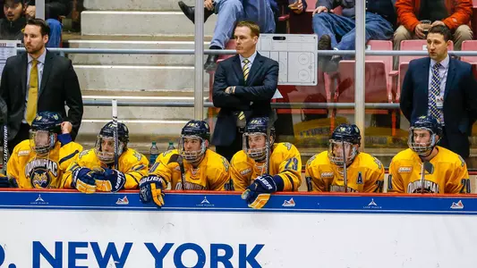 pecknold bench
