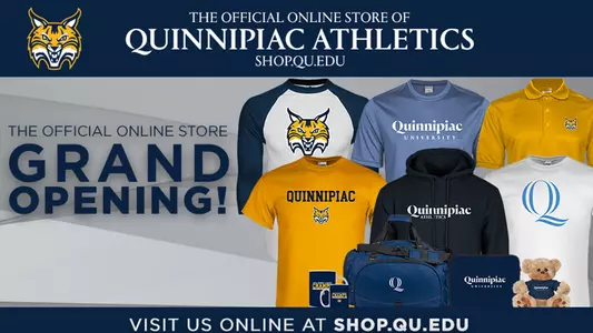 online store graphic for frontpage