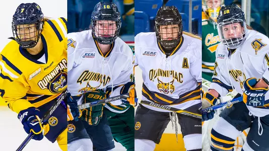 cwhl draft