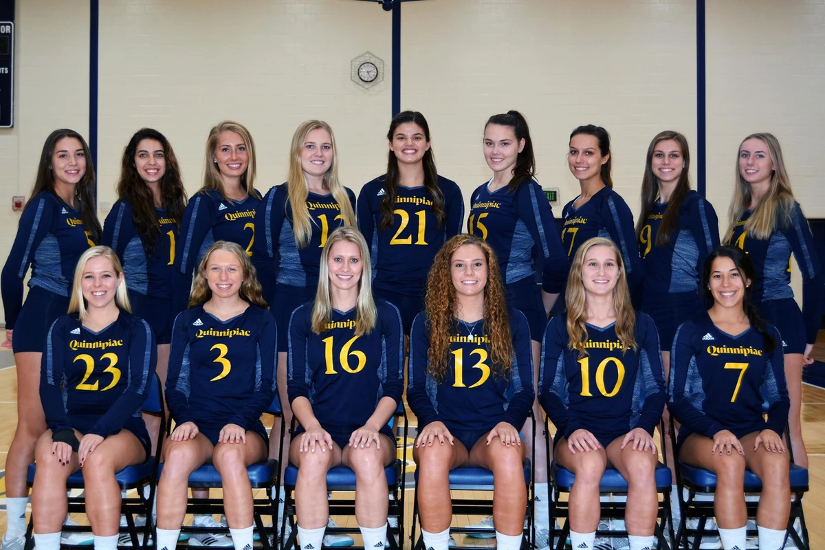 VB Team