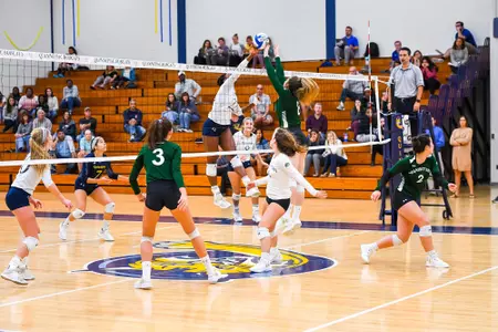 Volleyball