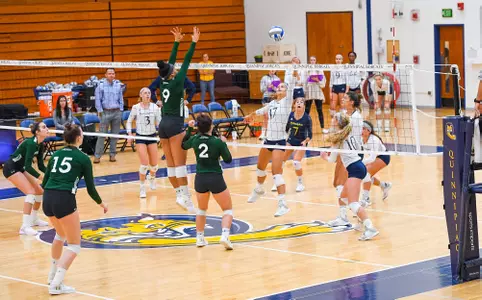 Volleyball