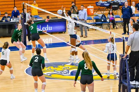 QU Volleyball