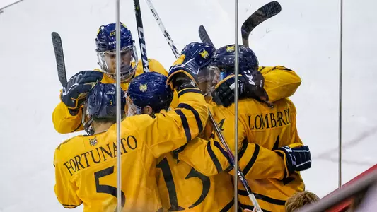 Men's Hockey Goal Celebration vs. AIC