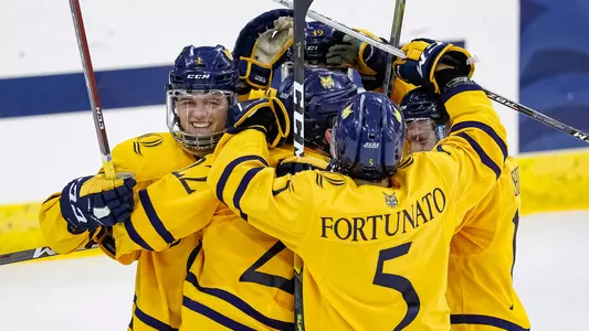 Men's Hockey Celebration vs. Princeton
