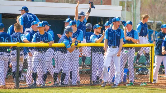 Baseball Bench Celebration Web
