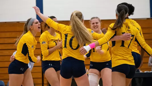 Volleyball Team Celebrates Winning a Point