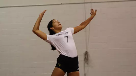 Alejandra Rodriguez Serves the Ball Over the Net