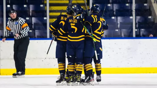 Men's Ice Hockey Celebrates Goal at AIC