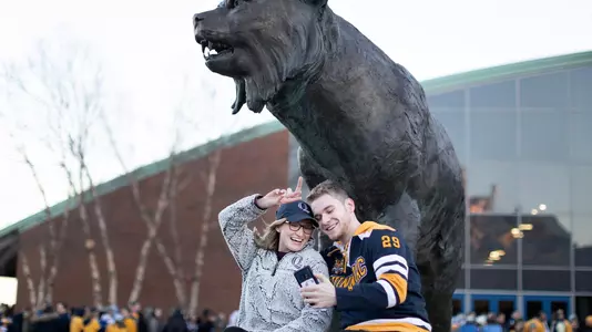 Bobcat Statue with Fans