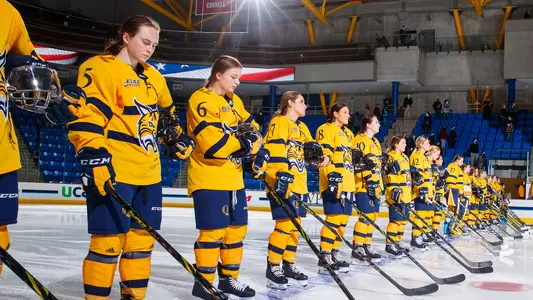 WIH Team at anthem