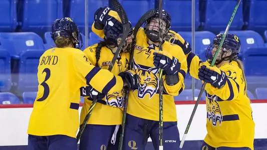 Bobcats celebrate after scoring a goal