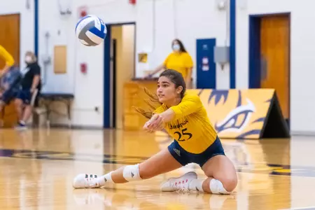 Aryanah Diaz