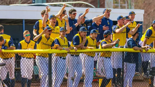 Baseball bench erupts in celebration