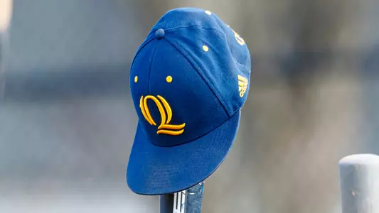 Quinnipiac Baseball Hat on Bat