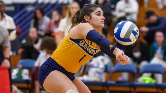 Aryanah Diaz tallies a dig