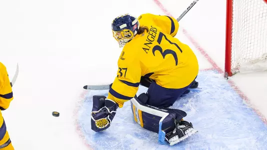 Logan Angers defends the net against Cornell