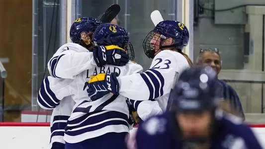 Women's ice hockey celebrates a goal against UCONN