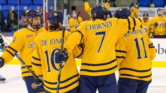 Men's Hockey Celebrates Goal