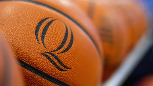 Q Basketball