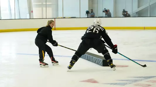 Danielle Marmer - Boston Bruins