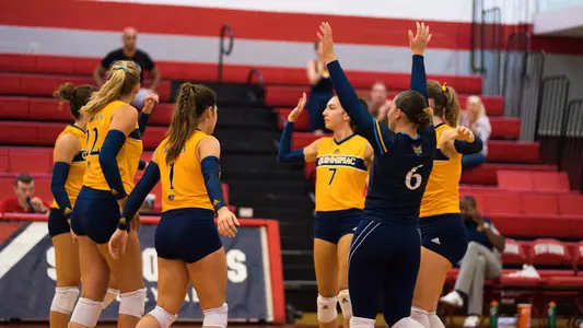 Volleyball celebrates a point