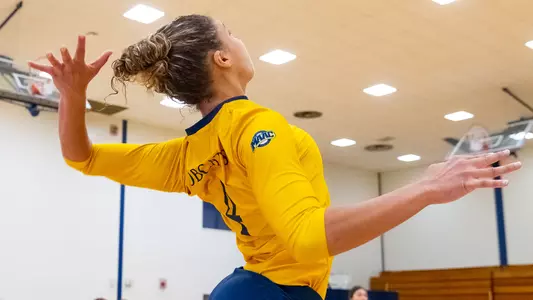 Alisa Mejia jumps at the netAlisa Mejia jumps at the net for a kill for a kill
