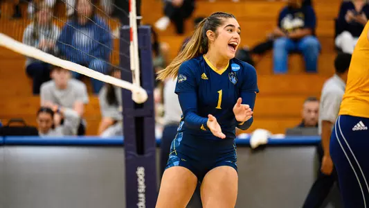 Ary celebrates a point