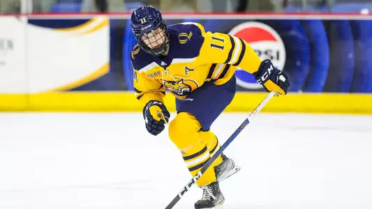 12.1 - MIH Recap