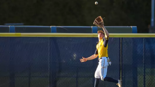 Anthony Donofrio snags a flyball