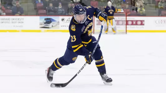 2.3 - MIH Recap