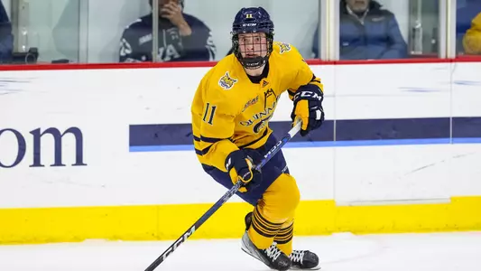 3.15 - Hobey Release INSIDE