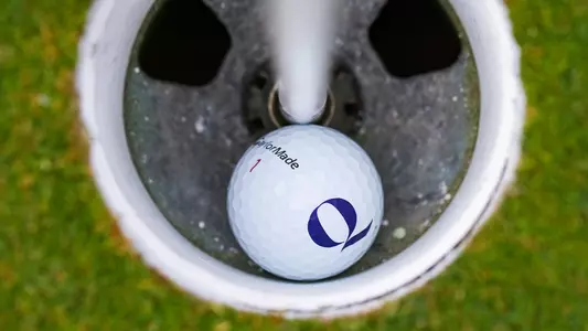Golf ball in hole