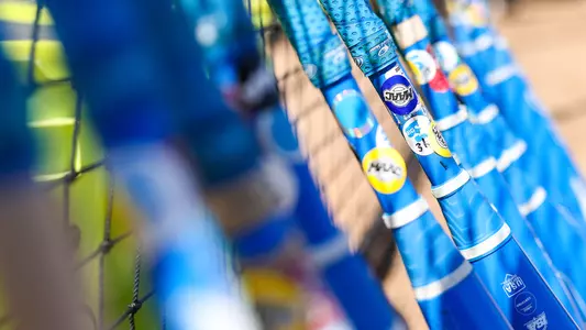 Quinnipiac softball bats lined up on a fence showing a MAAC logo