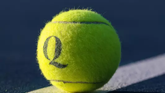 Tennis Ball 2023