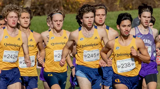 9.1 - MXC Preview
