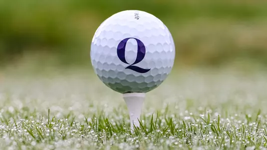 Q Golf Ball