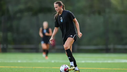 Chochol Handles Ball