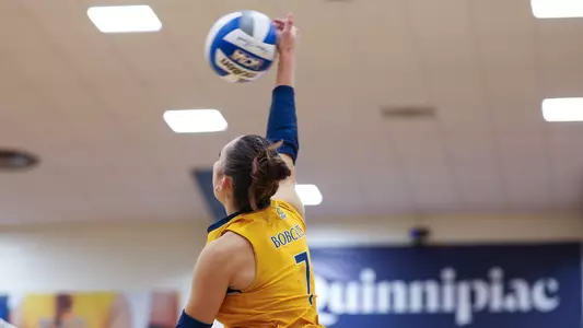 Yagmur Gunes Kill (10.1 Preview)