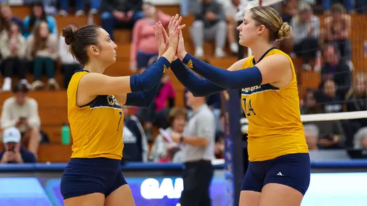 Gunes/Brashear High Five