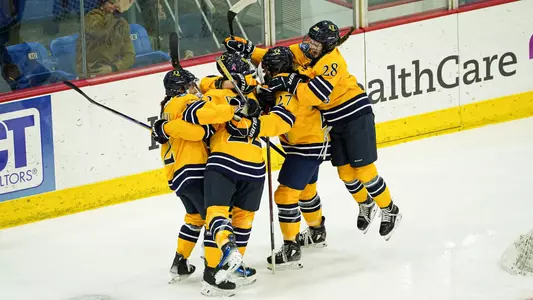 Women's ice hockey celebrates goal against SLU